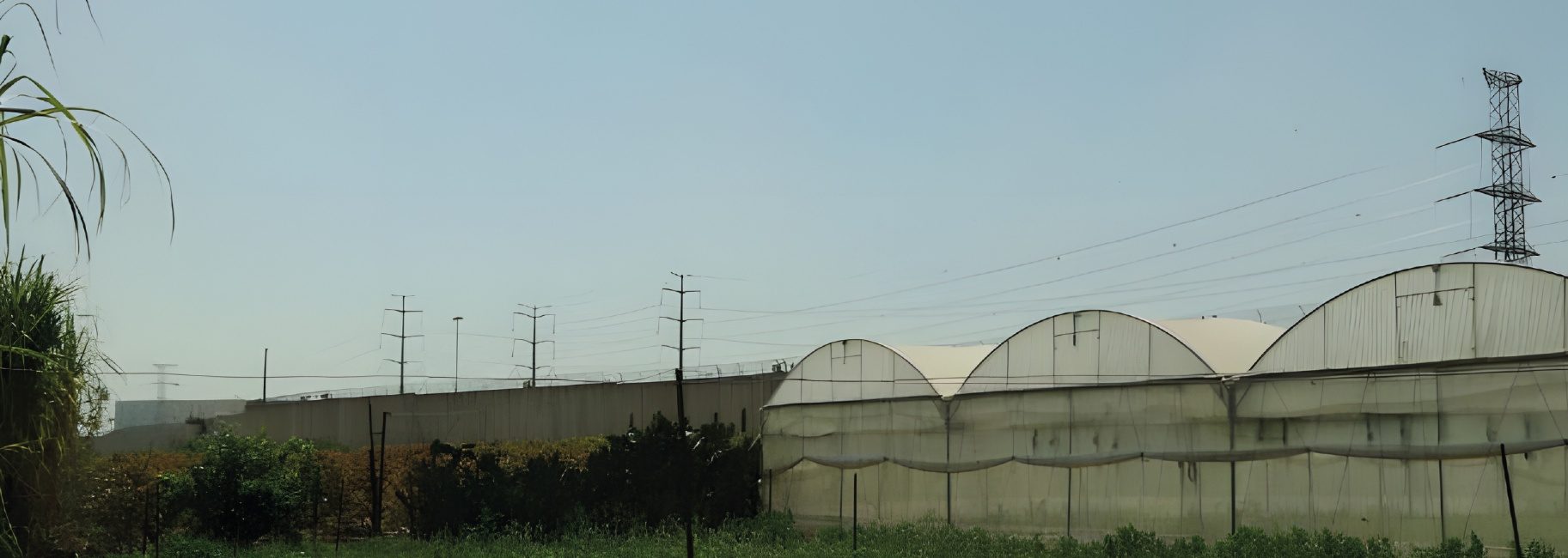 A greenhouse and vegetables on farmland beside the separation wall in Qalqilya